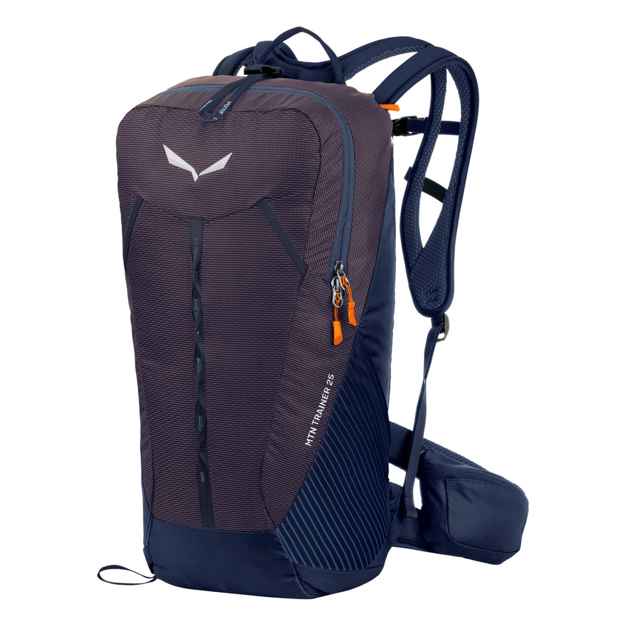 Mochilas Salewa Mtn Trainer 25L Azuis/Azul Marinho 613TYKXSW